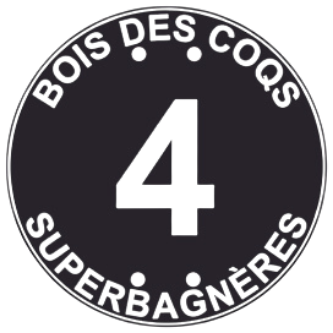 Balise Sticker Piste noire BALI-STI067